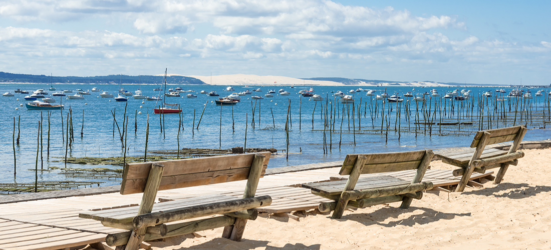 Cap Ferret