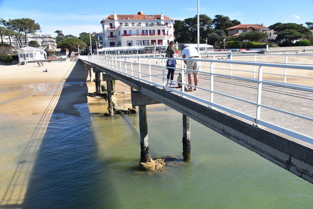 Arcachon & sa jetée