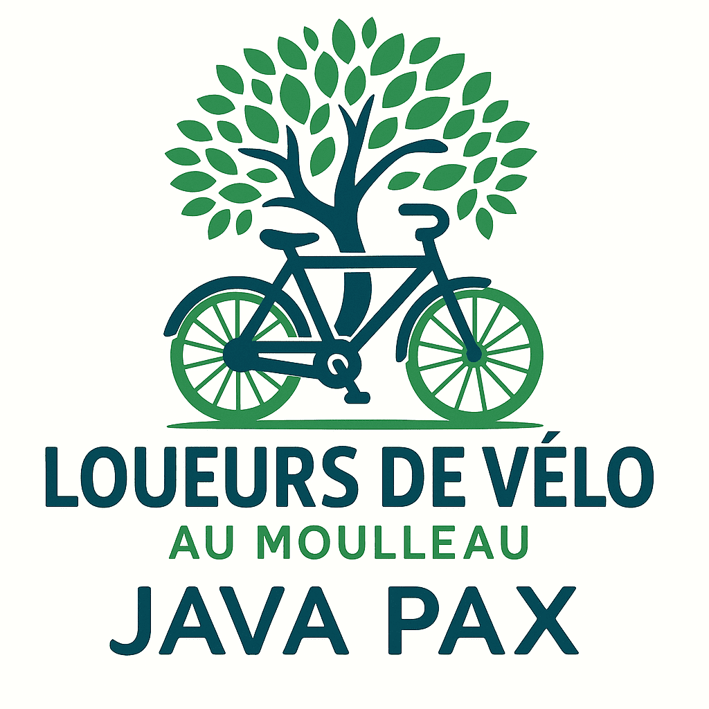 Quelques loueur de vélos au moulleau