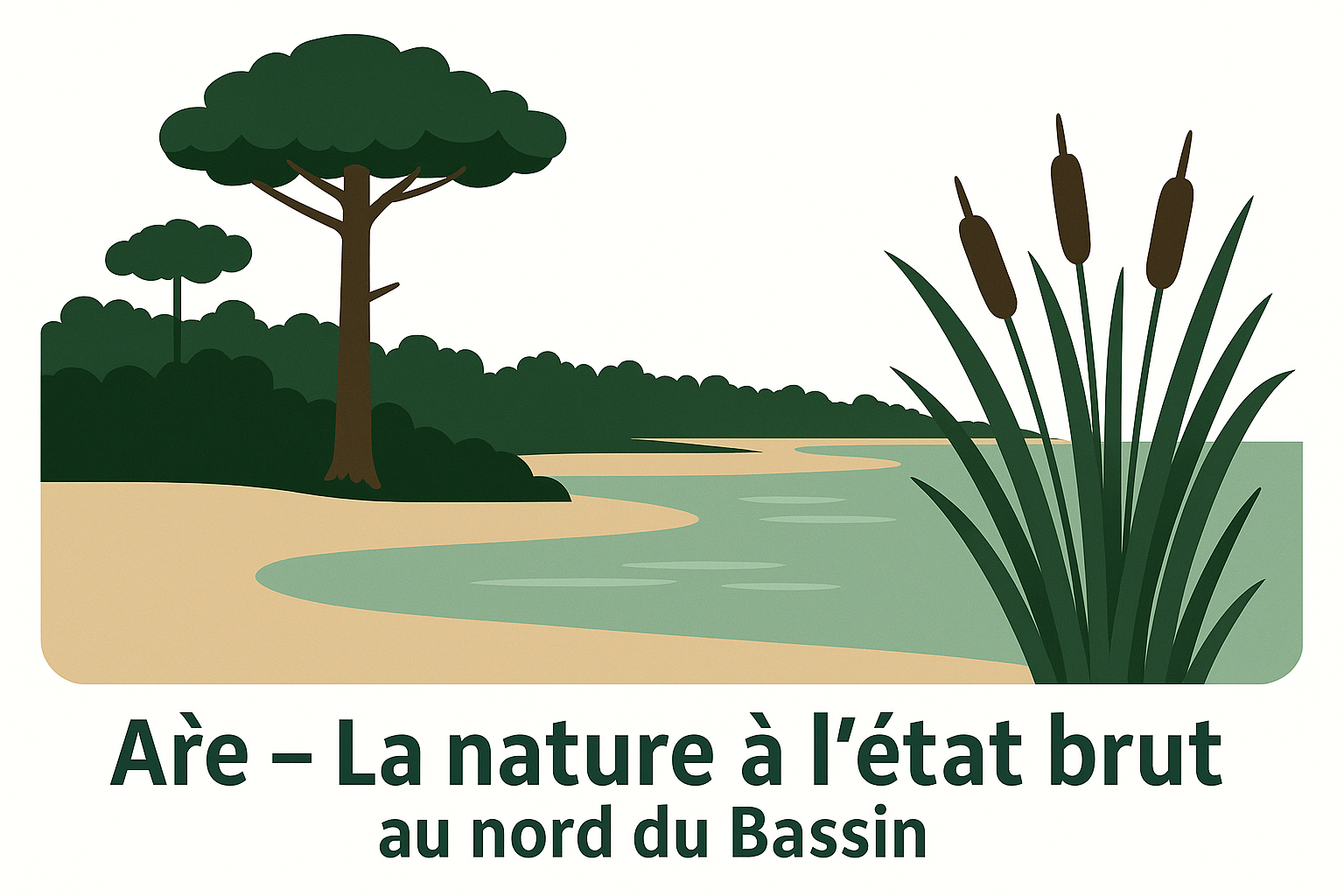 8. Arès – La nature à l’état brut au nord du Bassin